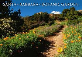 Santa Barbara Botanic Garden California