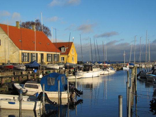 the Habour