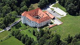 Slovenia castle
