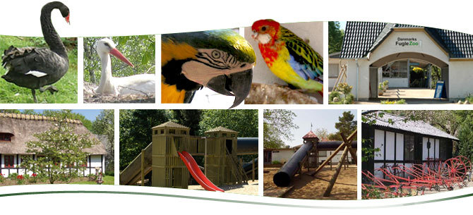 Danmarks Fugle Zoo Frydenlund Fuglepark