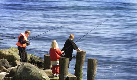 Bunken Strand Campingplads i Nordjylland 