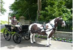 Great Sloncombe Farmhouse B&B   Exeter